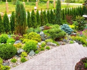 Vancouver best gardening service help your home backyard